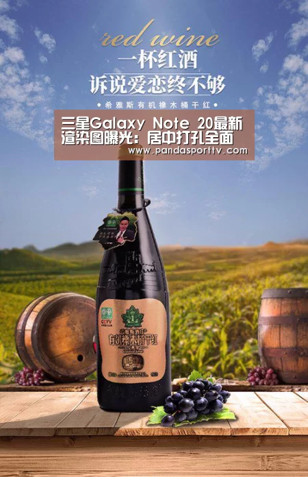 三星Galaxy Note 20最新渲染图曝光：居中打孔全面屏‘熊猫入口’