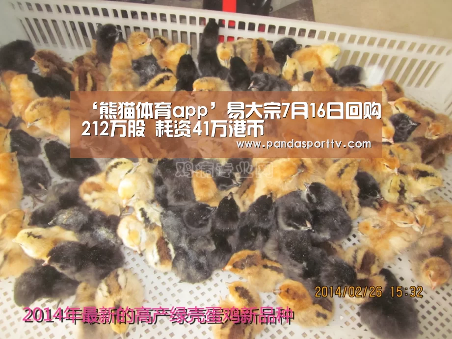 熊猫体育app