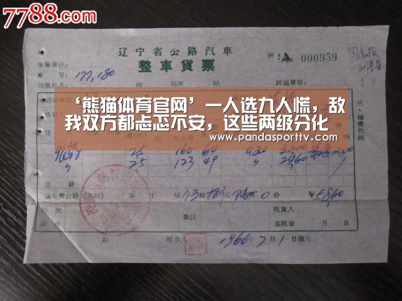 ‘熊猫体育官网’一人选九人慌，敌我双方都忐忑不安，这些两级分化的英雄有几位？