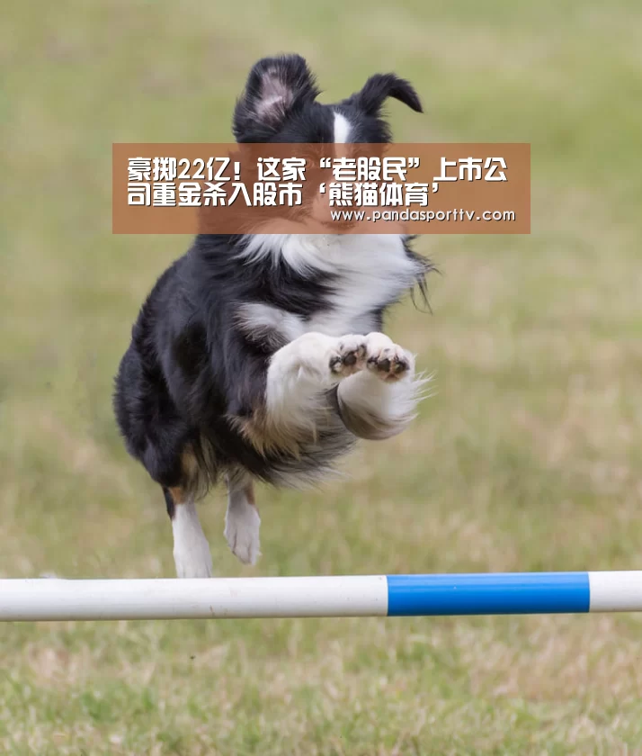 熊猫入口