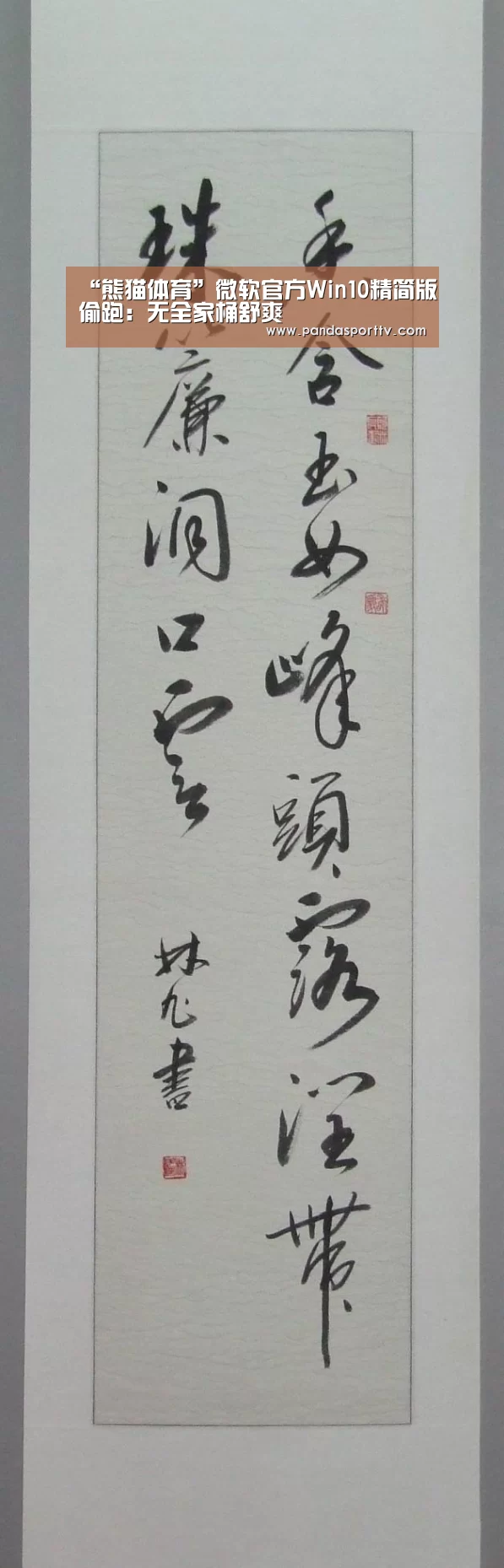 熊猫体育