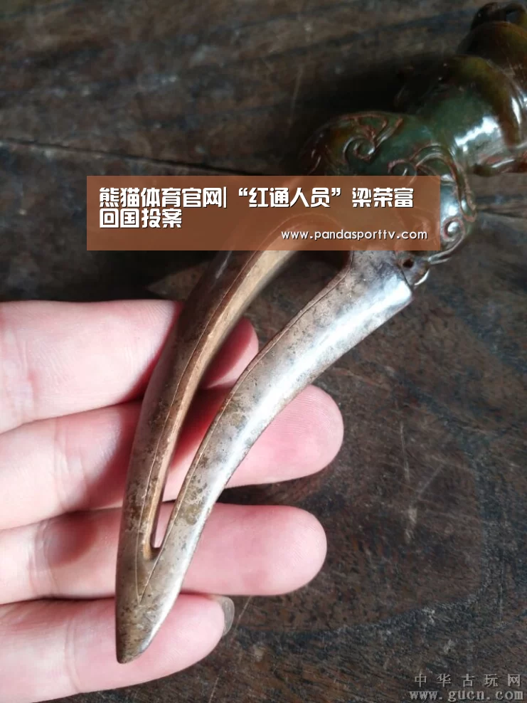 熊猫体育官网|“红通人员”梁荣富回国投案