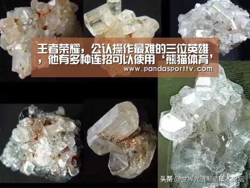 王者荣耀，公认操作最难的三位英雄，他有多种连招可以使用‘熊猫体育’