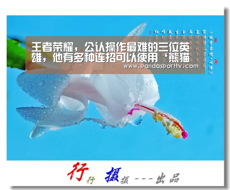熊猫入口